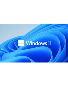 MS Windows 11 Professional  64-Bit  DSP